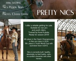 Pferd Pretty Nics (Quarter Horse, 2006, von Nics Peppy Train)