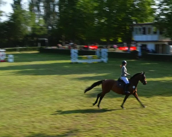 Reitturnier Westeregeln 2021