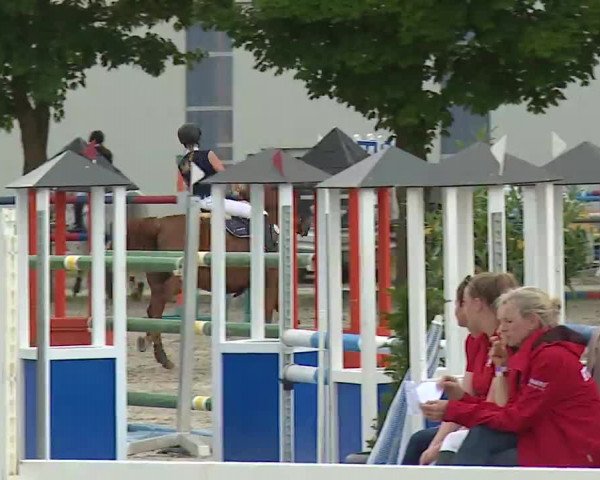 Reitturnier Rot am See – Musdorf 2021