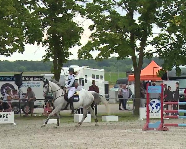 Reitturnier Rot am See – Musdorf 2021