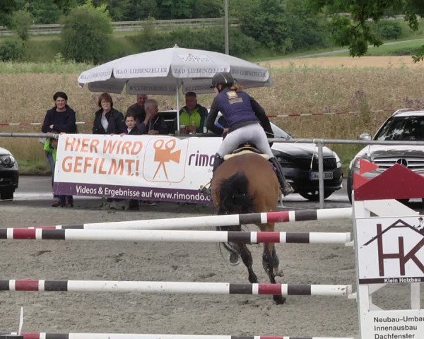 Reitturnier Ehningen 2021