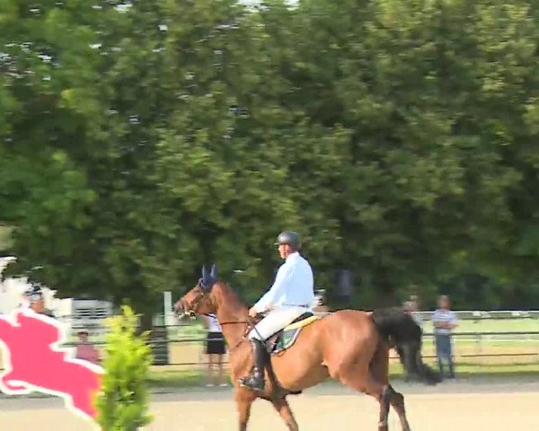Reitturnier Rot am See – Musdorf 2021