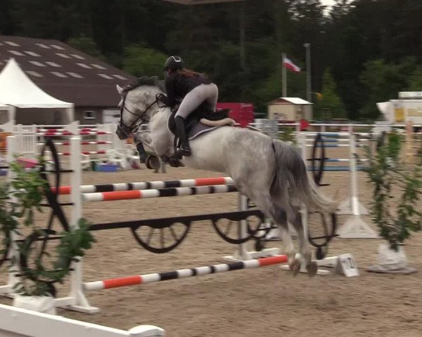Reitturnier Ladelund 2021