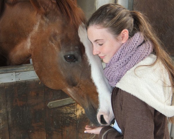 horse Rainbow Dancer (Westphalian, 1993, from Regenbogen)