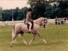 Pferd Merrie Monksilver (New-Forest-Pony, 1992, von Merrie Monarch)
