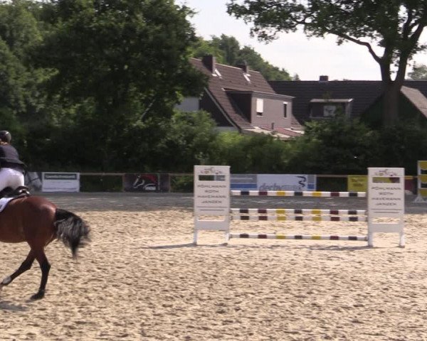 Reitturnier Kropp 2021
