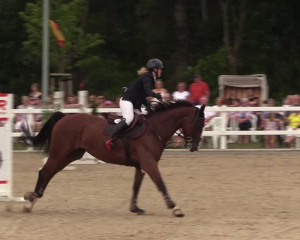 Reitturnier Ladelund 2021
