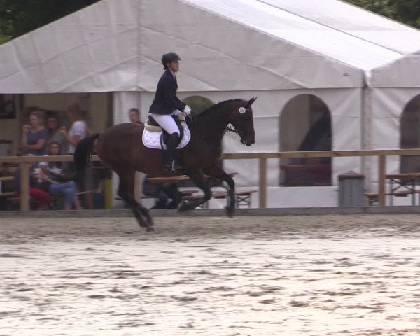 Reitturnier Kropp 2021