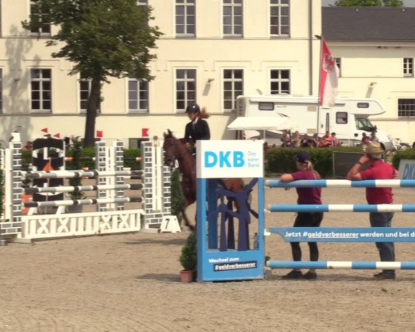 Reitturnier Neustadt/Dosse 2021