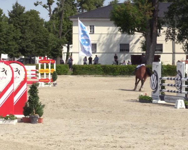 Reitturnier Neustadt/Dosse 2021