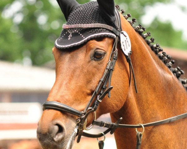 dressage horse Blue Morning (Hanoverian, 1999, from Brentano II)