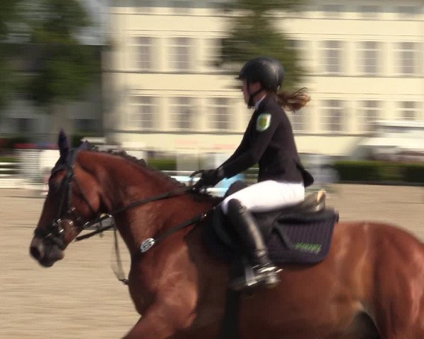 Reitturnier Neustadt/Dosse 2021