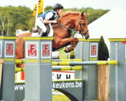 jumper Kantje's Amethist (New Forest Pony, 2005, from Brandy XIII)