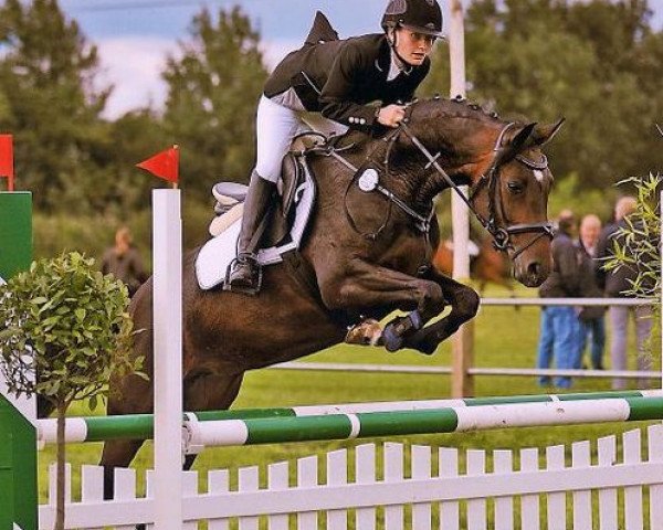 jumper Carina 494 (Oldenburg, 2005, from Carry Gold)