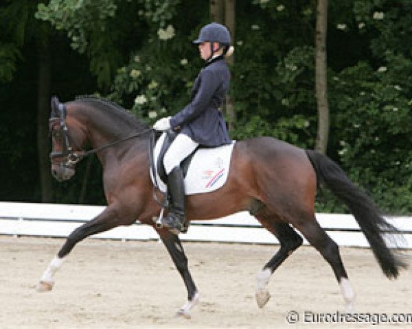 dressage horse Orchard Boginov (Nederlands Welsh Ridepony, 2000, from Verona's Bo-Gi)