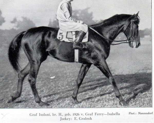 stallion Graf Isolani xx (Thoroughbred, 1926, from Graf Ferry xx)