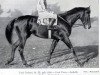 stallion Graf Isolani xx (Thoroughbred, 1926, from Graf Ferry xx)