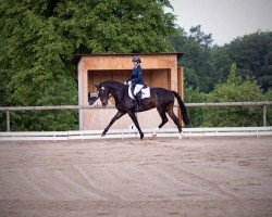 broodmare Fairytale (Bavarian, 2009, from Fürst Scheurenhof)