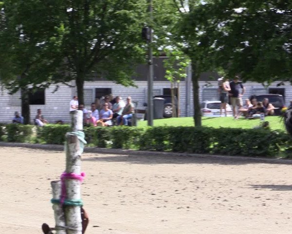 Reitturnier Olfen-Vinnum 2021