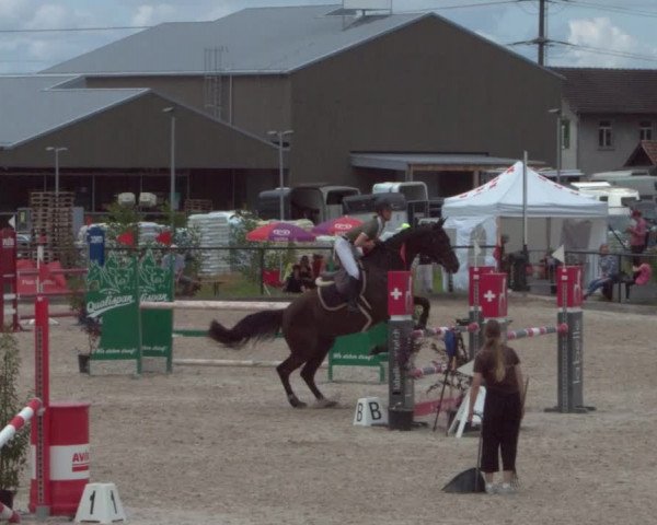 Reitturnier Gossau 2021
