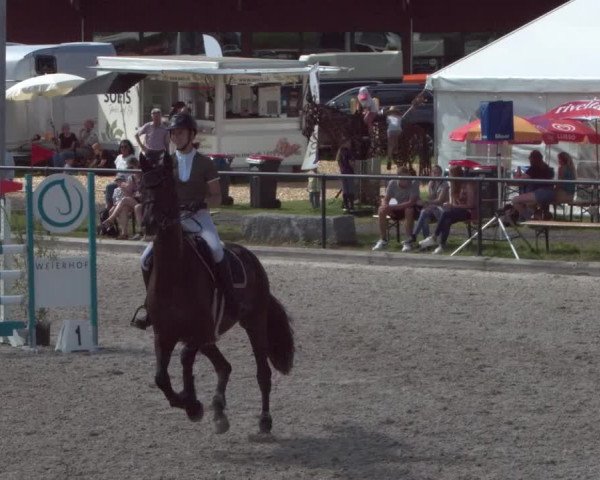 Reitturnier Gossau 2021
