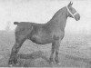 broodmare Esther (Groningen, 1940, from Kambius)