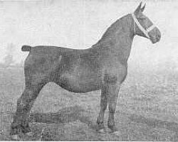 broodmare Esther (Groningen, 1940, from Kambius)