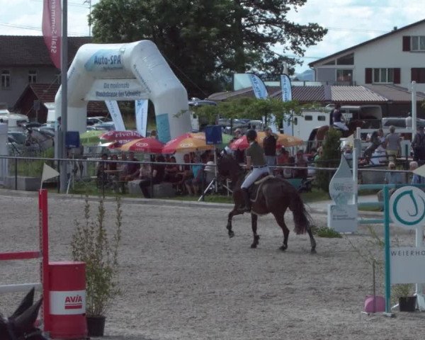 Reitturnier Gossau 2021
