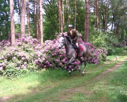 jumper Ledralys (Westphalian, 2007, from Lenardo)