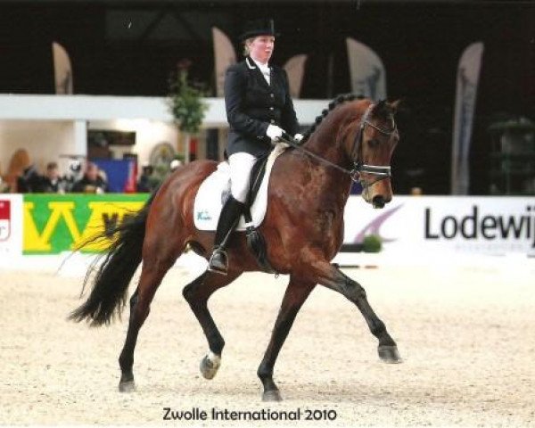 dressage horse Kansas C (KWPN (Royal Dutch Sporthorse), 2003, from Krack C)