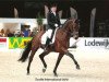 dressage horse Kansas C (KWPN (Royal Dutch Sporthorse), 2003, from Krack C)