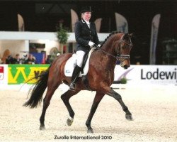 dressage horse Kansas C (KWPN (Royal Dutch Sporthorse), 2003, from Krack C)