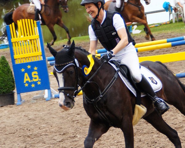 dressage horse Nicoss (German Riding Pony, 2005, from Neckar)
