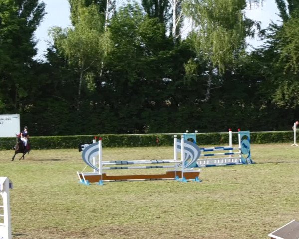 Reitturnier Westeregeln 2021