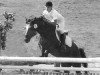 Deckhengst Dury (New-Forest-Pony, 1978, von Don Juan)