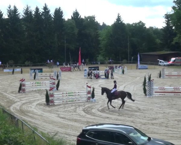 Reitturnier Neunkirchen-Salchendorf 2021