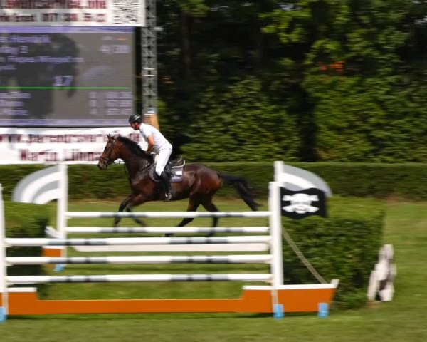 Reitturnier Westeregeln 2021
