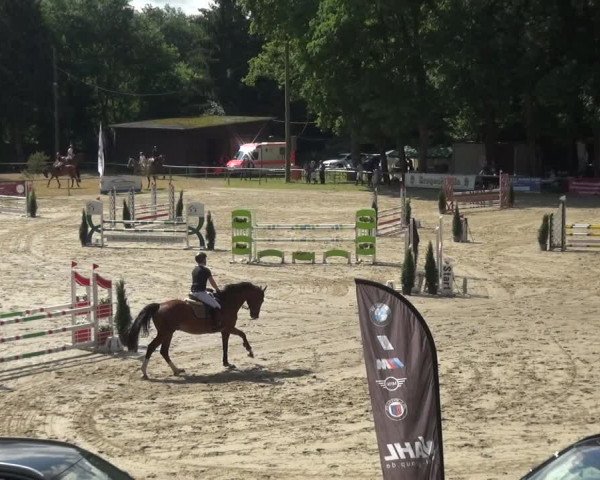 Reitturnier Neunkirchen-Salchendorf 2021