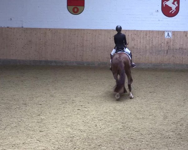 Reitturnier Olfen-Vinnum 2021