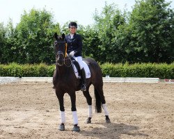 dressage horse Jazz Royal 2 (Westphalian, 2006, from Jazz Rubin)