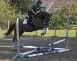 jumper Galanthis (Hanoverian, 2011, from Graf Top)