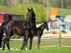 broodmare Farina E 2 (Westphalian, 1998, from Funkenspiel)