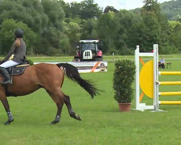 Rakoczy-Reitturnier Bad Kissingen 2021