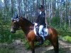 dressage horse Tabea 32 (German Riding Pony, 2009, from Marlo)