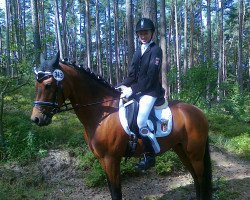 dressage horse Tabea 32 (German Riding Pony, 2009, from Marlo)