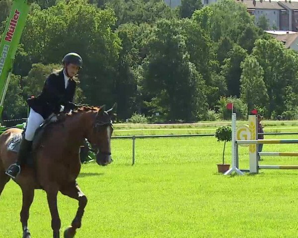 Rakoczy-Reitturnier Bad Kissingen 2021