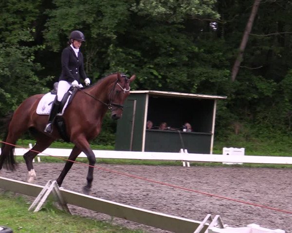 Reitturnier Kellinghusen 2021