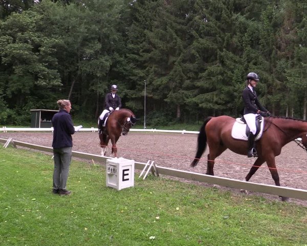 Reitturnier Kellinghusen 2021