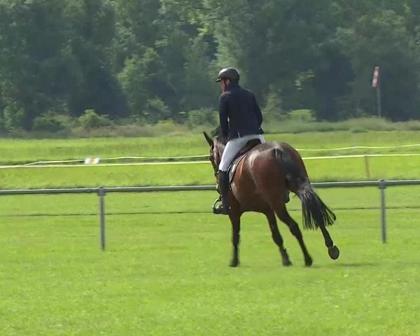 Rakoczy-Reitturnier Bad Kissingen 2021