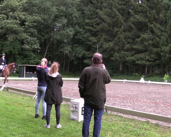 Reitturnier Kellinghusen 2021